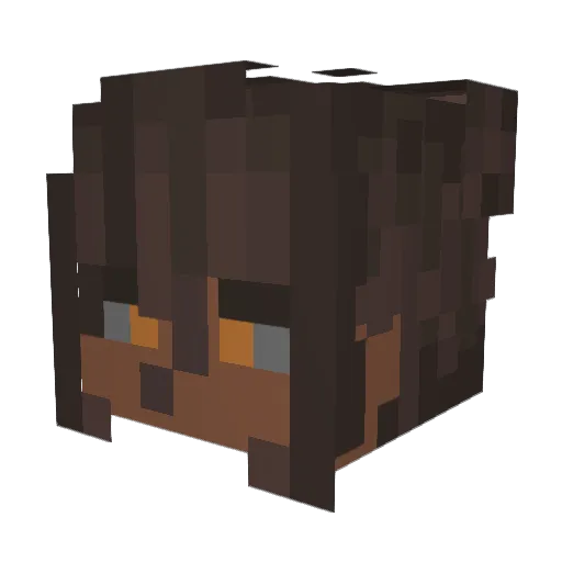 pigeons234 Minecraft avatar head, 3D render