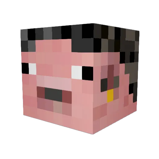 pigface89 Minecraft avatar head, 3D render