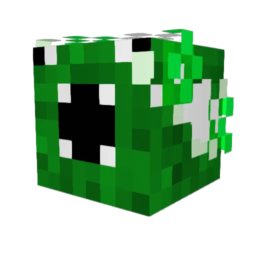 pigfaces_rkool Minecraft avatar head, 3D render