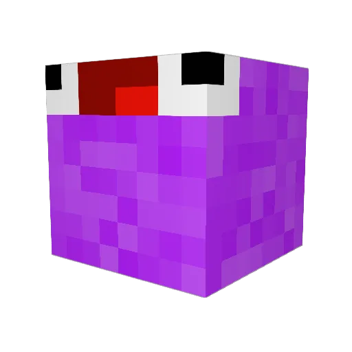 pigfan067 Minecraft avatar head, 3D render