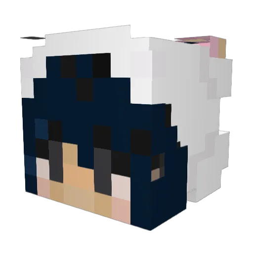 pigg999 Minecraft avatar head, 3D render