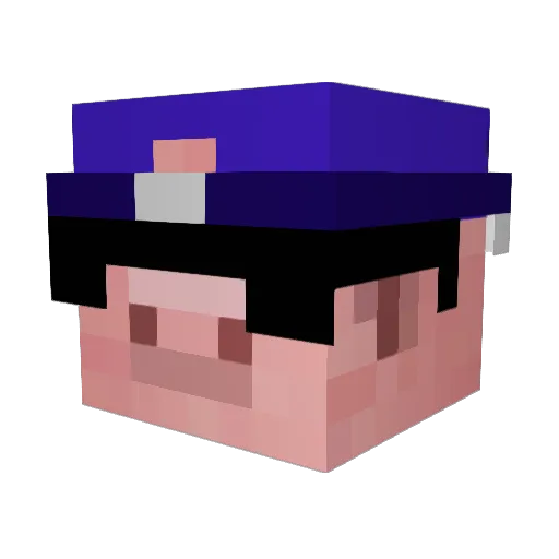 pigggy630 Minecraft avatar head, 3D render