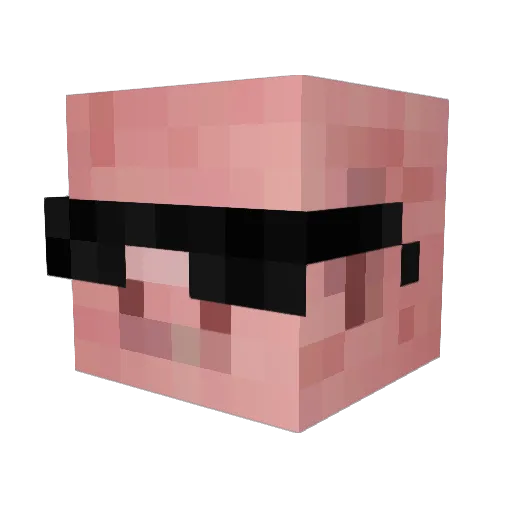 pigglesw0rth Minecraft avatar head, 3D render