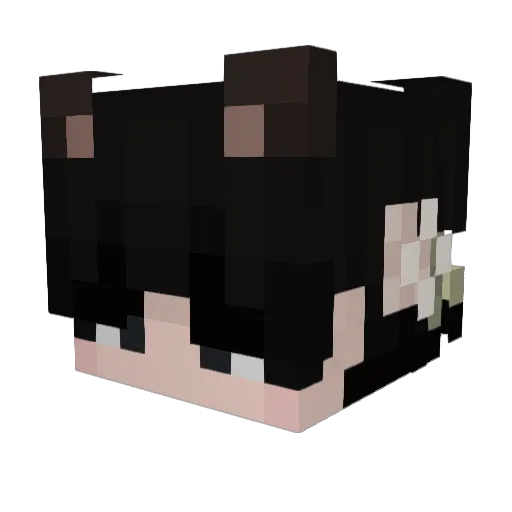 piggsweet Minecraft avatar head, 3D render