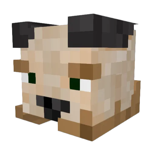 piggy13pig Minecraft avatar head, 3D render