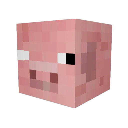 piggy1667 Minecraft avatar head, 3D render