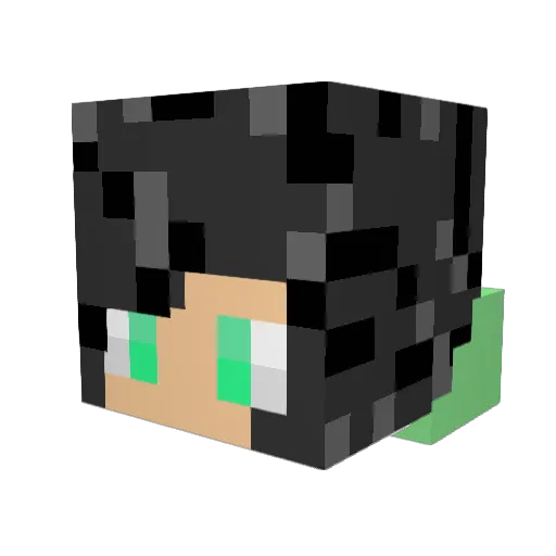 piggyblast12 Minecraft avatar head, 3D render