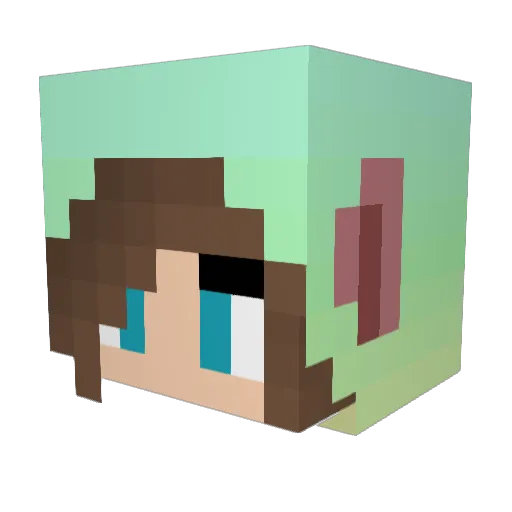 piggybutt35 Minecraft avatar head, 3D render