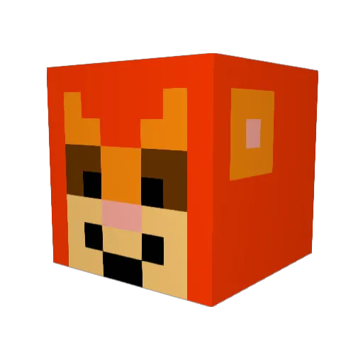 piggyrainbow Minecraft avatar head, 3D render