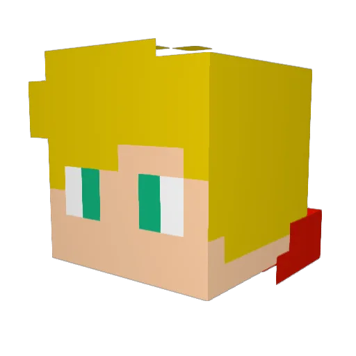 pighouse9 Minecraft avatar head, 3D render