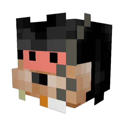 pigi1223 Minecraft avatar head, 3D render