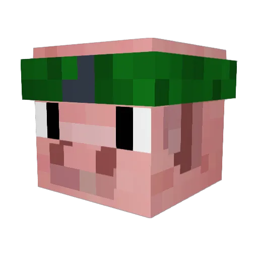 pigi_ninja12 Minecraft avatar head, 3D render