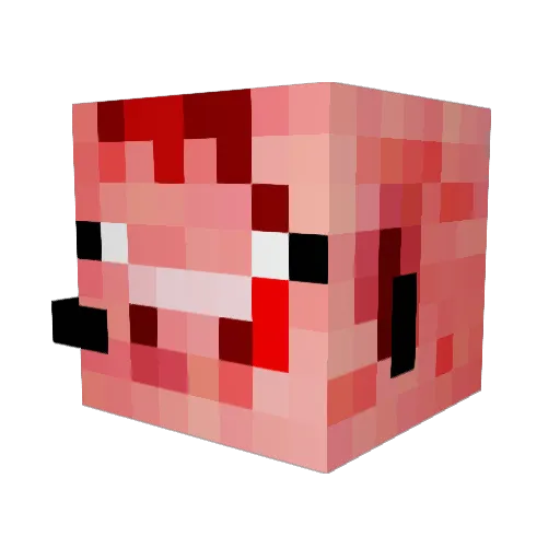 pigihunter Minecraft avatar head, 3D render