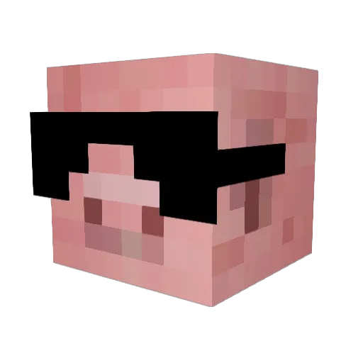 piginater Minecraft avatar head, 3D render