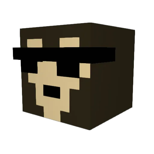 pigion05 Minecraft avatar head, 3D render