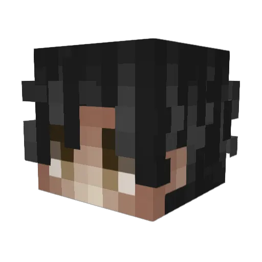 pigir Minecraft avatar head, 3D render