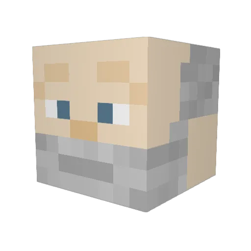 piglet0077 Minecraft avatar head, 3D render