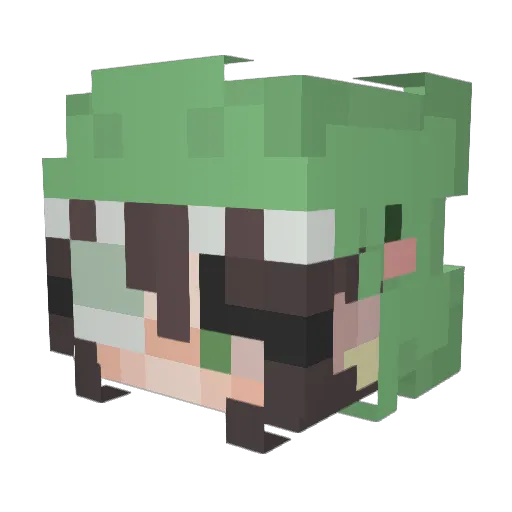 piglit4 Minecraft avatar head, 3D render