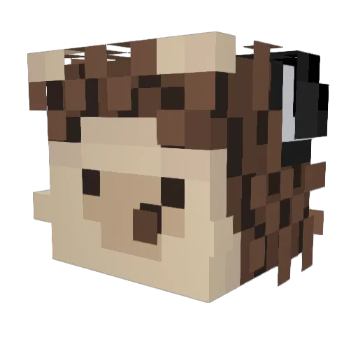 piglover2404 Minecraft avatar head, 3D render