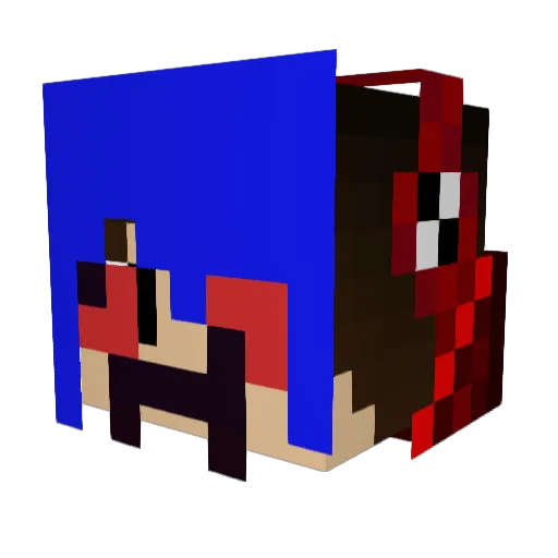 pigmac11 Minecraft avatar head, 3D render