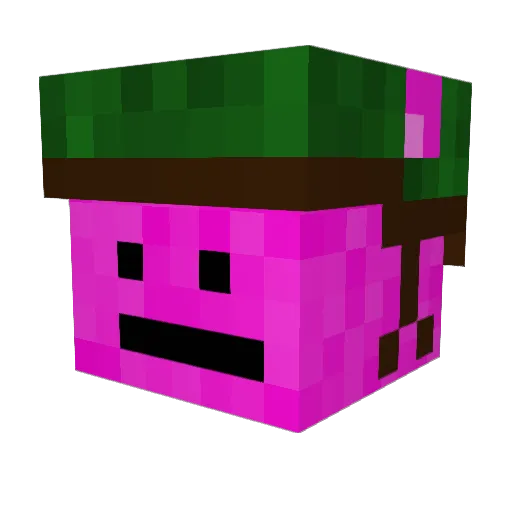 pigmagick Minecraft avatar head, 3D render