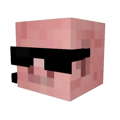 pigman1597 Minecraft avatar head, 3D render