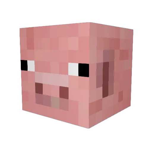 pigman27 Minecraft avatar head, 3D render