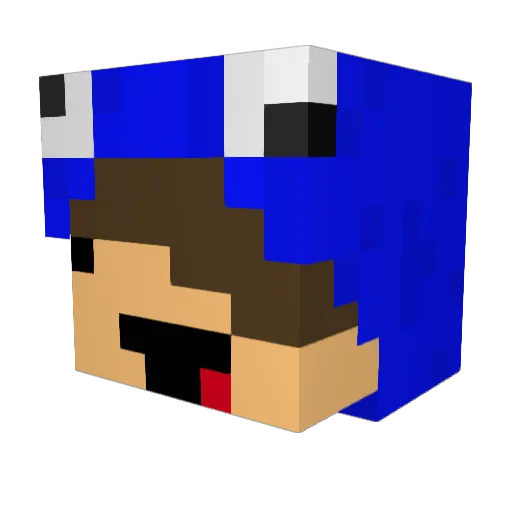pigman50 Minecraft avatar head, 3D render