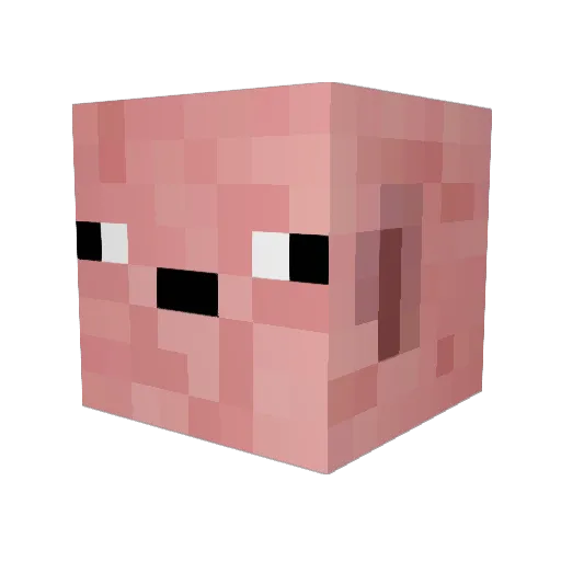 pigo363 Minecraft avatar head, 3D render