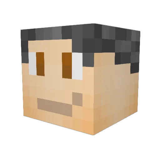 pigonapick Minecraft avatar head, 3D render