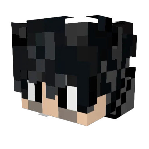pigonhada753 Minecraft avatar head, 3D render
