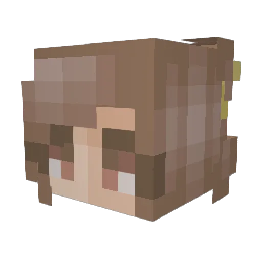 pigpapa69 Minecraft avatar head, 3D render