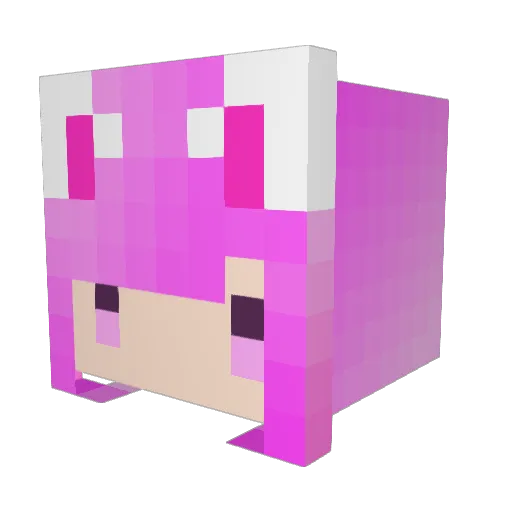 pigpig__1228 Minecraft avatar head, 3D render
