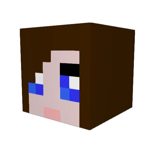 pigrider123 Minecraft avatar head, 3D render