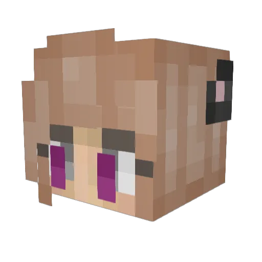 pigrider201 Minecraft avatar head, 3D render