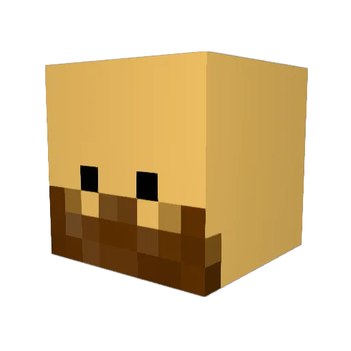 pigrider301 Minecraft avatar head, 3D render