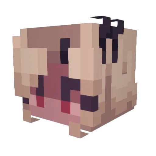 pigroy04 Minecraft avatar head, 3D render