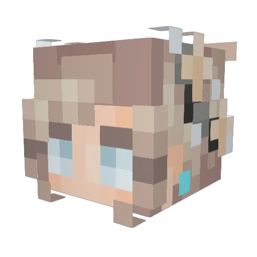 pigs_love Minecraft avatar head, 3D render