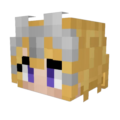 pigsaywhy Minecraft avatar head, 3D render