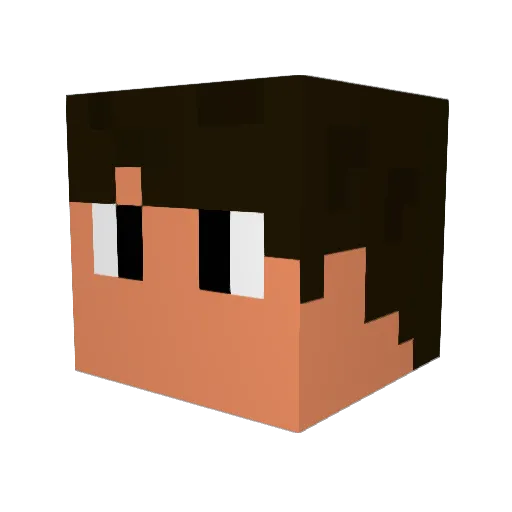 pigsonthewing200 Minecraft avatar head, 3D render