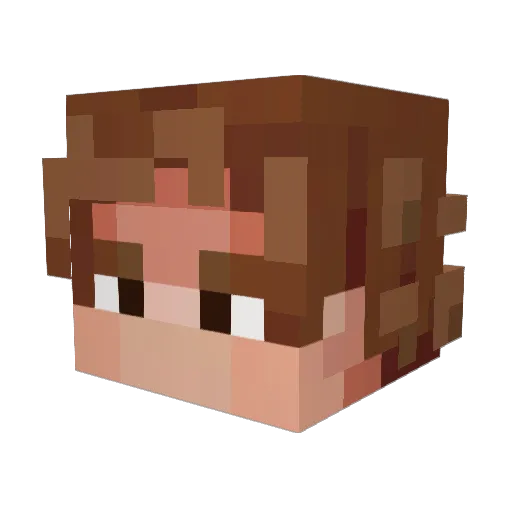 pigswitch Minecraft avatar head, 3D render