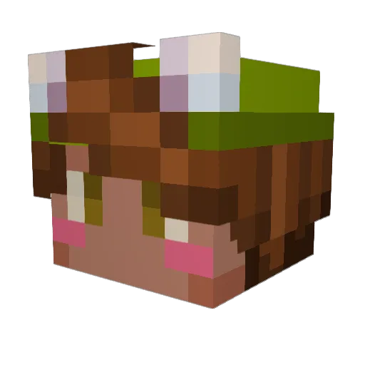pigthetoad Minecraft avatar head, 3D render