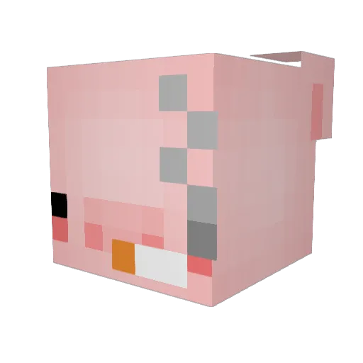 pigtoes123 Minecraft avatar head, 3D render