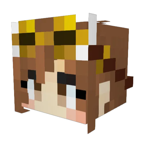 pigumiya Minecraft avatar head, 3D render