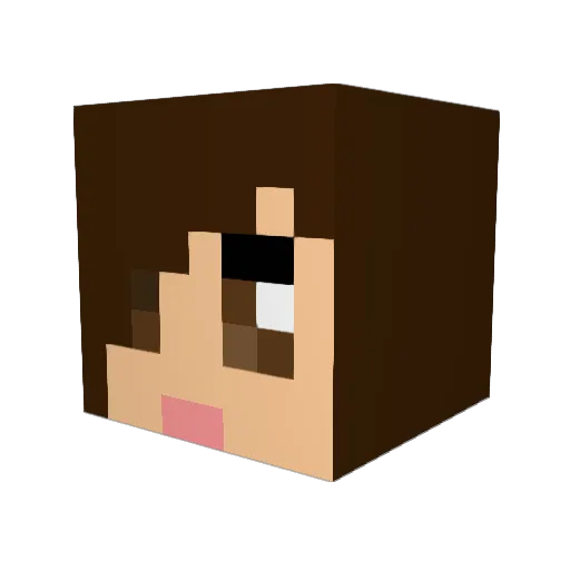 pigurl Minecraft avatar head, 3D render