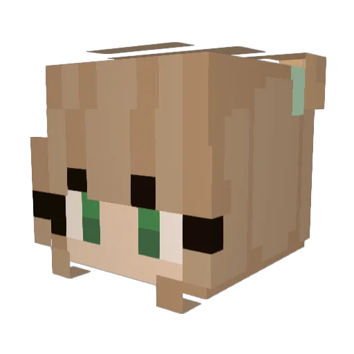 pigwig223 Minecraft avatar head, 3D render