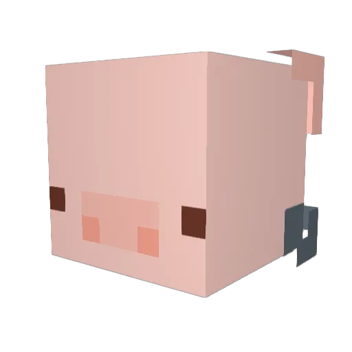 pigxotol Minecraft avatar head, 3D render