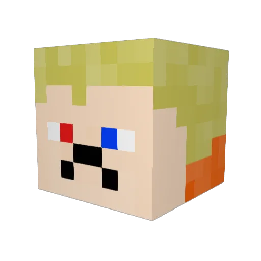 pigyman123 Minecraft avatar head, 3D render