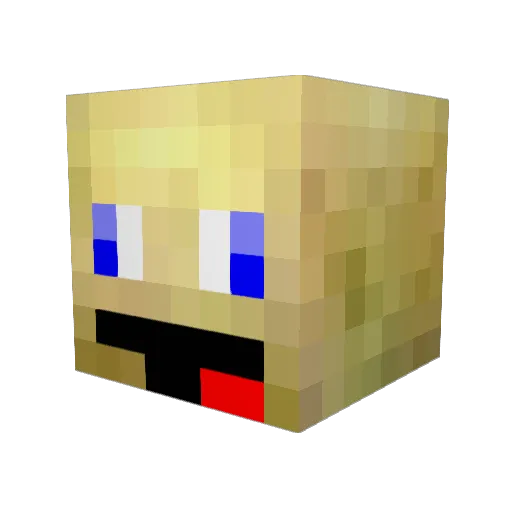 pigyness05 Minecraft avatar head, 3D render