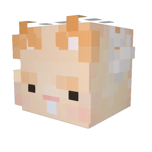 pigza_o3o Minecraft avatar head, 3D render